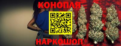 бошки Будённовск